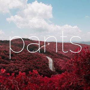 Section:: Pants